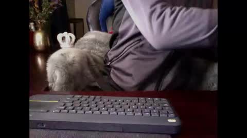 The Digital Pimp.... online show from 05/03/26, 01:17