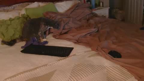 dildosnme22 online show from 12/18/25, 09:15