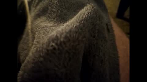 Snapshot of dilf232323 chatting on 01/16/25, 06:35 Dilf online show from 01/16/25, 06:35