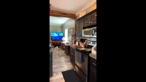 DILIS online show from 06/08/26, 10:32