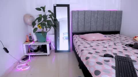 DINA online show from 11/12/25, 10:41