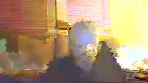 Snapshot of dingleberryjonesmagee chatting on 10/25/25, 10:26 dingleberryjonesmagee online show from 10/25/25, 10:26