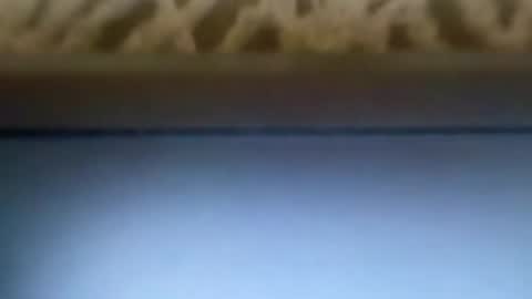 free4fun online show from 04/09/26, 06:13