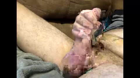 Dirtykurty5000 online show from 09/12/25, 11:43