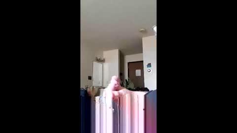 discreetmt online show from 06/11/26, 01:42