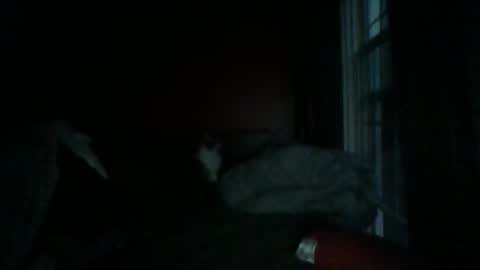 Snapshot of dixhexus chatting on 01/04/25, 12:27 Chris Williams online show from 01/04/25, 12:27