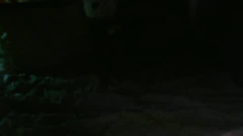 Snapshot of dixhexus chatting on 02/14/25, 02:50 Chris Williams online show from 02/14/25, 02:50