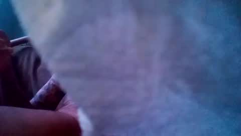 Snapshot of dixienormes chatting on 12/29/24, 12:55 dixienormes online show from 12/29/24, 12:55