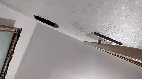 dixonbird41 online show from 02/11/25, 02:46