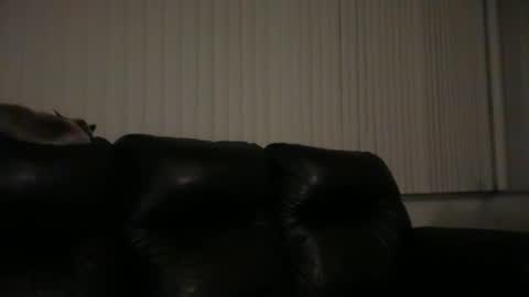 DJ Chaterbate online show from 03/31/26, 06:36