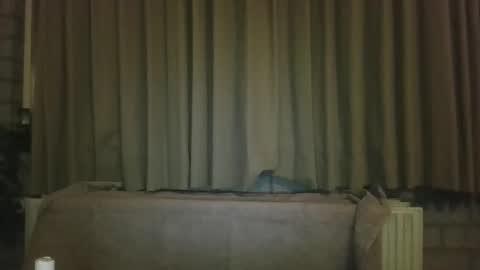 djensenhc online show from 01/11/26, 11:32