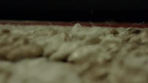 Mmmmgood online show from 02/24/25, 01:57