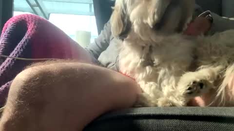 DKdad online show from 12/15/25, 09:13