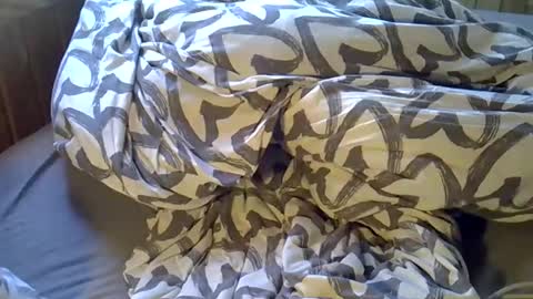 DKdad online show from 04/06/26, 02:07