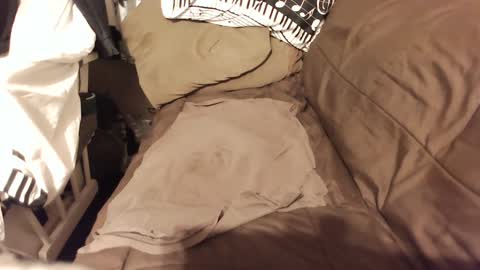 Snapshot of do4you2 chatting on 01/18/25, 02:23 do4you2 online show from 01/18/25, 02:23