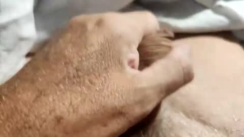 dockydick online show from 10/14/25, 12:00