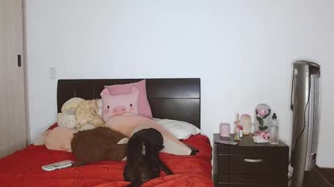 Snapshot of doll_and_sex chatting on 02/24/25, 03:55 Auro and Santiago online show from 02/24/25, 03:55