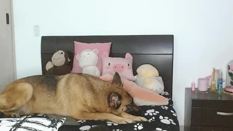 Snapshot of doll_and_sex chatting on 03/04/25, 02:49 Auro and Santiago online show from 03/04/25, 02:49