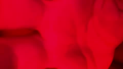 Alzest online show from 11/17/25, 02:06