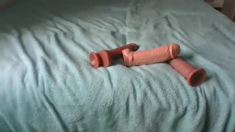 Alzest online show from 11/30/25, 09:02