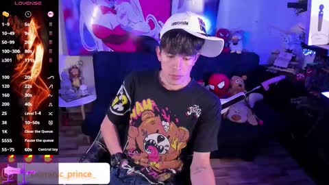 DOMINIC PRINCE   online show from 11/28/25, 10:45