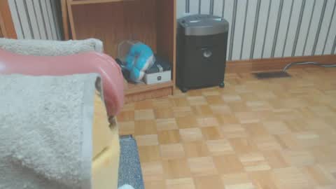 Snapshot of don_r55 chatting on 06/14/26, 04:53 Don online show from 06/14/26, 04:53