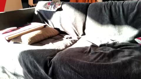 Alfredo online show from 12/16/24, 11:44