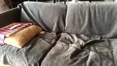 Alfredo online show from 01/14/25, 11:10