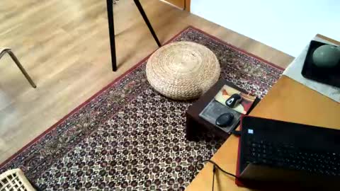 Alfredo online show from 02/02/25, 02:24