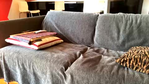 Alfredo online show from 02/04/25, 10:21