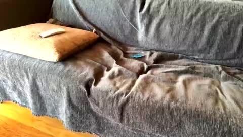 Alfredo online show from 02/20/25, 08:39