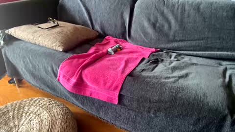 Alfredo online show from 09/11/25, 11:10