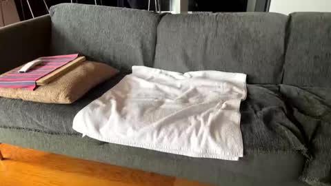 Alfredo online show from 10/07/25, 10:12