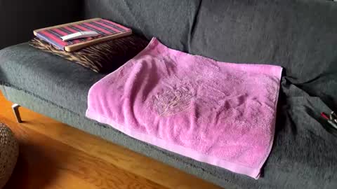 Alfredo online show from 02/13/26, 10:55