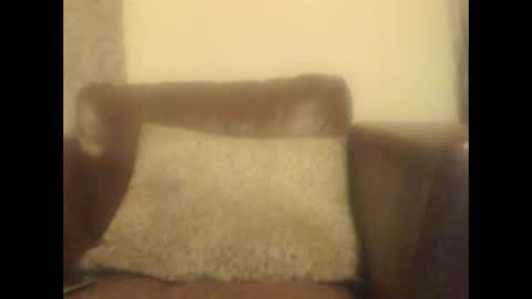Snapshot of donniehardone chatting on 04/11/26, 02:38 donniehardone online show from 04/11/26, 02:38