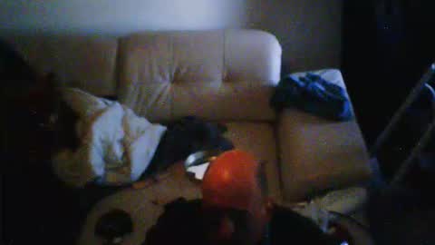 donosus online show from 02/28/26, 10:05