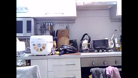 Dorrie Ann online show from 12/29/24, 05:31