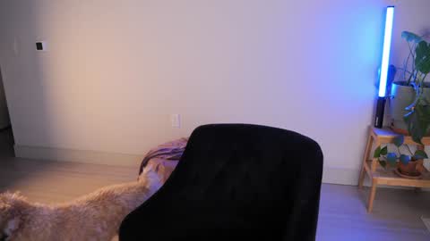 Snapshot of doubedeesarai chatting on 10/18/25, 02:36 Sara online show from 10/18/25, 02:36