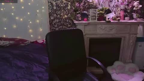 DiBi online show from 07/20/26, 02:52