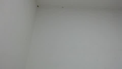 drako_monstercock online show from 01/17/26, 10:46