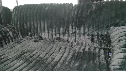 Draya Nicole online show from 03/09/25, 11:25