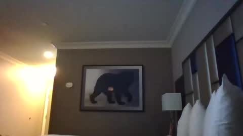 DreadedChefLoXXX online show from 03/03/25, 06:59