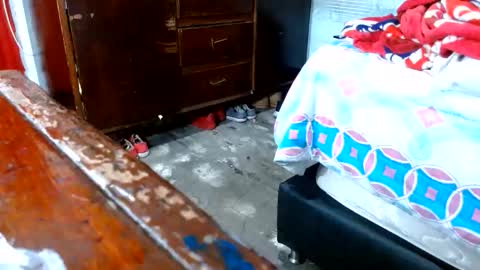 dreamreal online show from 11/10/25, 10:58