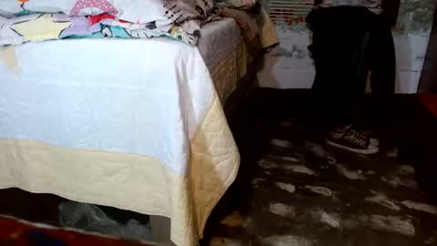 dreamreal online show from 11/22/25, 11:20