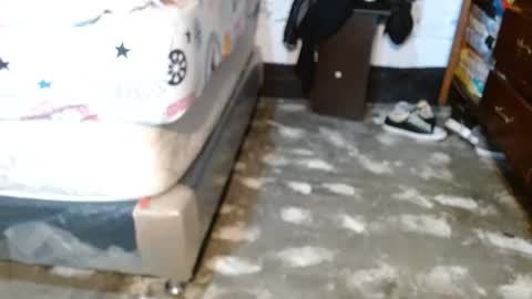 dreamreal online show from 04/11/26, 10:52