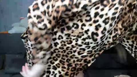 dreamesoul online show from 11/07/25, 11:32