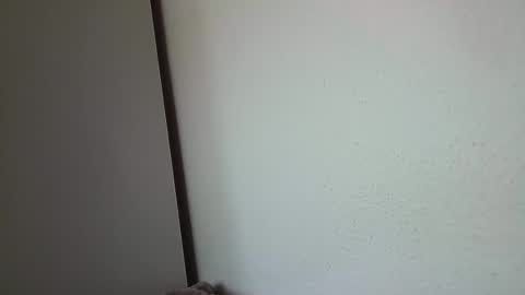 Snapshot of dreammaud333 chatting on 02/16/25, 01:27 dreammaud333 online show from 02/16/25, 01:27