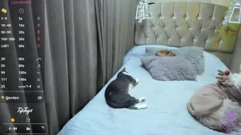 Sophia online show from 07/10/26, 11:40