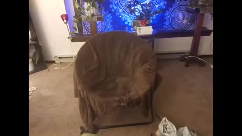 dribblez420 online show from 10/26/25, 03:12