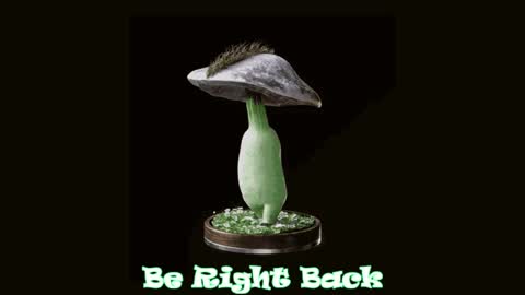 Tara  Sonny online show from 01/28/25, 07:21